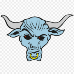 The Dahma Bull